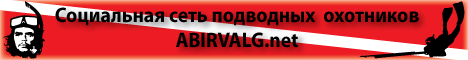 Abirvalg.net