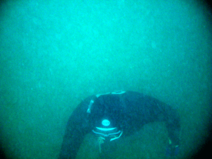 freediving