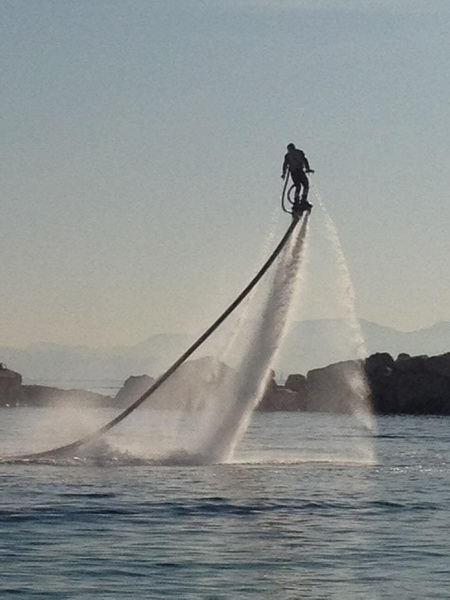 zapata human dolphin